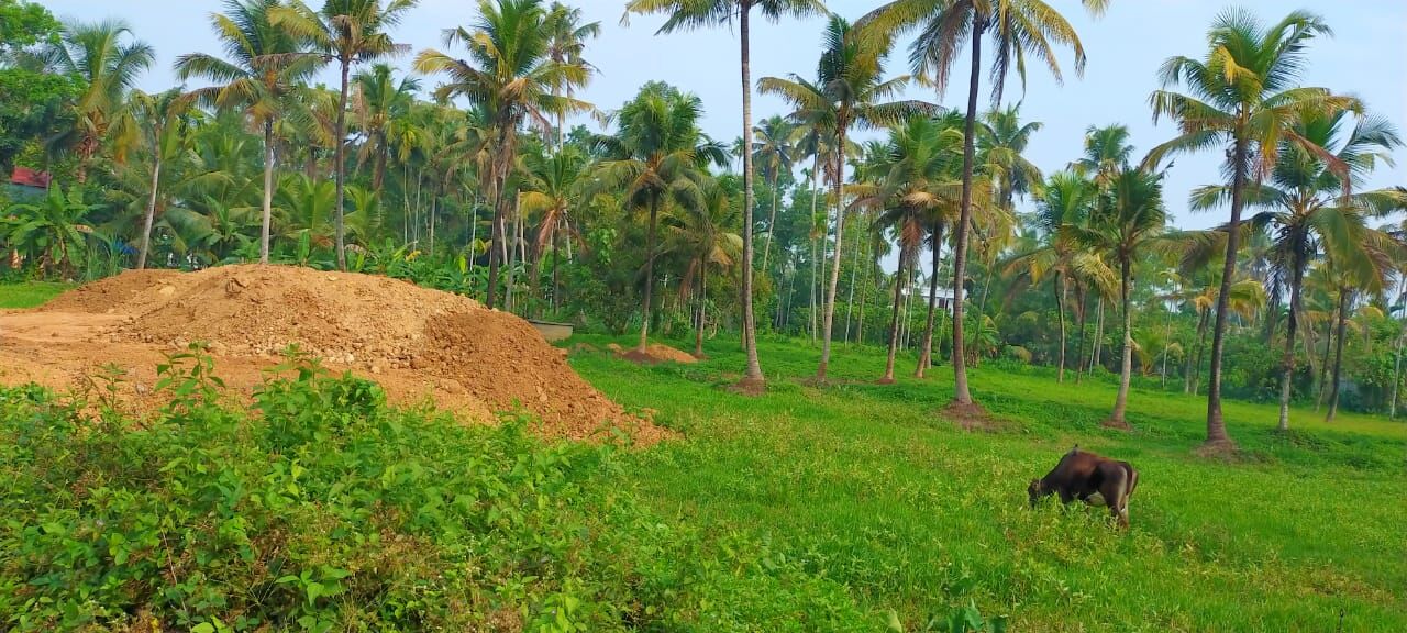 തിരഞ്ഞെടുപ്പിന്റെ മറവില്‍ നിലം നികത്തല്‍