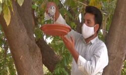 താപനില ഉയരുന്നു; നഗരത്തില്‍ പക്ഷികള്‍ക്ക് വെള്ളപ്പാത്രങ്ങള്‍ സജ്ജീകരിച്ച് കലാബുര്‍ഗി കോര്‍പറേഷന്‍