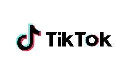 ടിക്ടോക് ഉടമകളായ ബൈറ്റ് ഡാൻസിന്റെ രണ്ട് ബാങ്ക് അക്കൗണ്ടുകളും ബ്ലോക്ക് ചെയ്ത് കേന്ദ്രസർക്കാർ