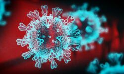 เดเดฑเดฃเดพเดเตเดณเด เดเดฟเดฒเตเดฒเดฏเดฟเดฒเตโ เดเดจเตเดจเต 316 เดชเตเดฐเตโเดเตเดเต เดเตเดตเดฟเดกเต เดเดฑเดฃเดพเดเตเดณเด เดเดฟเดฒเตเดฒเดฏเดฟเดฒเตโ เดเดจเตเดจเต 316 เดชเตเดฐเตโเดเตเดเต เดเตเดตเดฟเดกเต