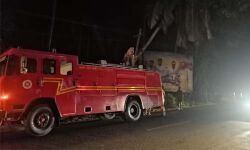 ദേശീയപാതയ്ക്ക് കുറുകെ വൈദ്യുതി ലൈനിന് മുകളില് തെങ്ങ് വീണത് പരിഭ്രാന്തി പരത്തി ദേശീയപാതയ്ക്ക് കുറുകെ വൈദ്യുതി ലൈനിന് മുകളില് തെങ്ങ് വീണത് പരിഭ്രാന്തി പരത്തി