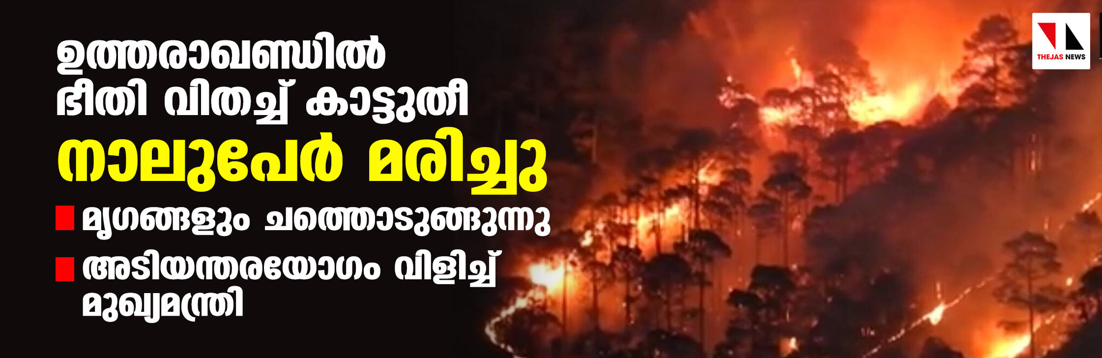 ഉത്തരാഖണ്ഡില്‍ ഭീതി വിതച്ച് കാട്ടുതീ; നാലുപേര്‍ മരിച്ചു, മൃഗങ്ങളും ചത്തൊടുങ്ങുന്നു, അടിയന്തരയോഗം വിളിച്ച് മുഖ്യമന്ത്രി