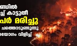 ഉത്തരാഖണ്ഡില്‍ ഭീതി വിതച്ച് കാട്ടുതീ; നാലുപേര്‍ മരിച്ചു, മൃഗങ്ങളും ചത്തൊടുങ്ങുന്നു, അടിയന്തരയോഗം വിളിച്ച് മുഖ്യമന്ത്രി