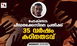 പ്രായപൂര്‍ത്തിയാകാത്ത പെണ്‍കുട്ടിയെ  പീഡിപ്പിച്ച പ്രതിക്ക് 35 വര്‍ഷം കഠിനതടവ്