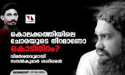 കൊലക്കത്തിയിലെ ചോരയുടെ നിറമാണോ കൊടിനിറം?; വിമർശനവുമായി സനൽകുമാർ ശശിധരൻ