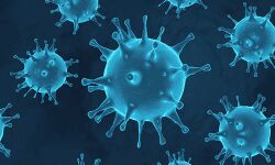 ആലപ്പുഴ ജില്ലയില്‍ ഇന്ന് 235 പേര്‍ക്ക് കൊവിഡ്