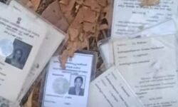 ഒറ്റപ്പാലത്ത് വോട്ടര്‍ ഐഡി കാര്‍ഡുകള്‍ ഉപേക്ഷിച്ച നിലയില്‍