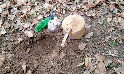 ഛത്തീസ്ഗഡിലെ നാരായൺപൂരിൽ പ്രഷർ കുക്കർ ഐഇഡി കണ്ടെടുത്തു