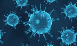 ആലപ്പുഴ ജില്ലയില്‍ ഇന്ന് 481 പേര്‍ക്ക് കൊവിഡ്