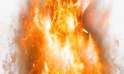 കണ്ണൂരില് ബോംബ് നിര്മ്മാണത്തിനിടെ സ്ഫോടനം; യുവാവിന്റെ രണ്ട് കൈപ്പത്തിയും അറ്റു കണ്ണൂരില് ബോംബ് നിര്മ്മാണത്തിനിടെ സ്ഫോടനം; യുവാവിന്റെ രണ്ട് കൈപ്പത്തിയും അറ്റു