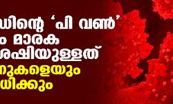 കൊവിഡിന്റെ പി വൺ വകഭേദം മാരക പ്രഹരശേഷിയുള്ളത്; വാക്സിനുകളെയും പ്രതി​രോധി​ക്കും?