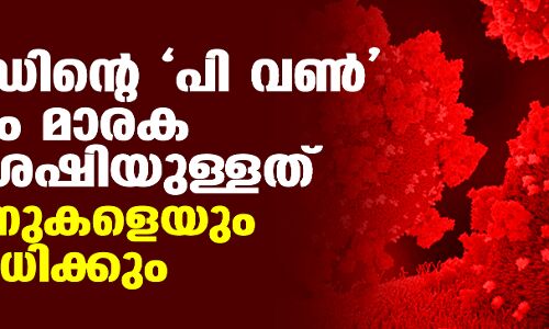 കൊവിഡിന്റെ പി വൺ വകഭേദം മാരക പ്രഹരശേഷിയുള്ളത്; വാക്സിനുകളെയും പ്രതിരോധിക്കും? കൊവിഡിന്റെ പി വൺ വകഭേദം മാരക പ്രഹരശേഷിയുള്ളത്; വാക്സിനുകളെയും പ്രതിരോധിക്കും?