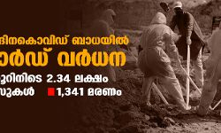 രാജ്യത്ത് പ്രതിദിന കൊവിഡ് ബാധയില്‍ റെക്കോര്‍ഡ് വര്‍ധന; 24 മണിക്കൂറിനിടെ 2.34 ലക്ഷം വൈറസ് കേസുകള്‍, 1,341 മരണം