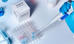 മെഗാ ടെസ്റ്റിങ് ഡ്രൈവ്: കാസര്‍കോട് രണ്ട് ദിവസത്തിനിടെ പരിശോധിച്ചത് 8321 പേരെ