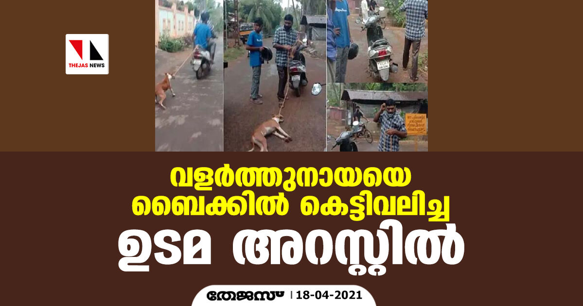 വളര്ത്തുനായയെ ബൈക്കില് കെട്ടിവലിച്ച ഉടമ അറസ്റ്റില് വളര്ത്തുനായയെ ബൈക്കില് കെട്ടിവലിച്ച ഉടമ അറസ്റ്റില്