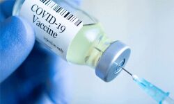 ആലപ്പുഴ ജില്ലയില്‍ ഇന്ന് 800 പേര്‍ക്ക് കൊവിഡ്; 387 പേര്‍ക്ക് രോഗമുക്തി