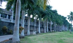 മലബാര്‍ കാന്‍സര്‍ സെന്ററില്‍ സന്ദര്‍ശകര്‍ക്ക് കര്‍ശന നിയന്ത്രണം