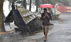 സംസ്ഥാനത്ത് കനത്ത മഴയ്ക്ക് സാധ്യത; വിവിധ ജില്ലകളില്‍ യെല്ലോ അലര്‍ട്ട് പ്രഖ്യാപിച്ചു