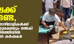വീട്ടിലേക്ക് മടങ്ങേണ്ട, കുടിയേറ്റത്തൊഴിലാളികള്‍ക്ക് ഭക്ഷണവും സുരക്ഷയും നല്‍കി ഡല്‍ഹി അതിര്‍ത്തിയില്‍ സമരം ചെയ്യുന്ന കര്‍ഷകര്‍
