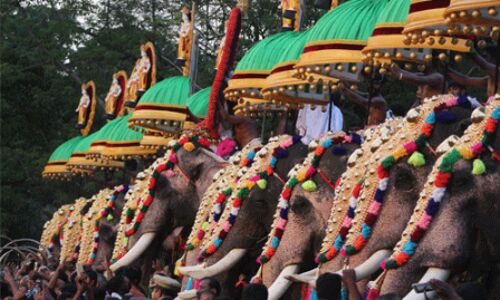 തൃശൂര്‍ പൂരം: ആനകളെ പരിശോധിച്ച് സാക്ഷ്യപത്രം നല്‍കും