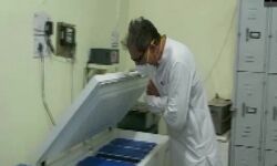 ഹരിയാനയില്‍ സര്‍ക്കാര്‍ ആശുപത്രിയില്‍ നിന്ന് 1,710 ഡോസ് കൊവിഡ് വാക്‌സിന്‍ മോഷണം പോയി