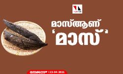 മാസ് ആണ് മാസ്