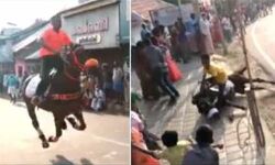 പാലക്കാട് കൊവിഡ് നിയന്ത്രണങ്ങള്‍ ലംഘിച്ച് കുതിരയോട്ടം; കേസെടുത്ത് പോലിസ്