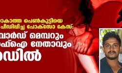പ്രായപൂര്ത്തിയാകാത്ത പെണ്കുട്ടിയെ ലൈംഗികമായി പീഡിപ്പിച്ച പോക്സോ കേസ്: സിപിഎം വാര്ഡ് മെമ്പറും ഡിവൈഎഫ്ഐ നേതാവും റിമാന്ഡില് പ്രായപൂര്ത്തിയാകാത്ത പെണ്കുട്ടിയെ ലൈംഗികമായി പീഡിപ്പിച്ച പോക്സോ കേസ്: സിപിഎം വാര്ഡ് മെമ്പറും ഡിവൈഎഫ്ഐ നേതാവും റിമാന്ഡില്