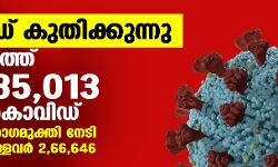 സംസ്ഥാനത്ത് കൊവിഡ് കുതിക്കുന്നു; ഇന്ന് 35013 പേര്‍ക്ക് കൊവിഡ്; ചികിത്സയിലുള്ളവര്‍ 2,66,646