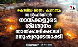 เดเตเดตเดฟเดกเต เดฎเดฐเดฃเด เดเตเดเตเดจเตเดจเต; เดกเดฒเตโเดนเดฟเดฏเดฟเดฒเตโ เดจเดพเดฏเตเดเตเดเดณเตเดเต เดถเตเดฎเดถเดพเดจเด เดคเดพเดคเตเดเดพเดฒเดฟเดเดฎเดพเดฏเดฟ เดฎเดจเตเดทเตเดฏเดฐเตเดเตเดคเดพเดเตเดเดฟ เดเตเดตเดฟเดกเต เดฎเดฐเดฃเด เดเตเดเตเดจเตเดจเต; เดกเดฒเตโเดนเดฟเดฏเดฟเดฒเตโ เดจเดพเดฏเตเดเตเดเดณเตเดเต เดถเตเดฎเดถเดพเดจเด เดคเดพเดคเตเดเดพเดฒเดฟเดเดฎเดพเดฏเดฟ เดฎเดจเตเดทเตเดฏเดฐเตเดเตเดคเดพเดเตเดเดฟ