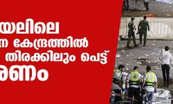 ഇസ്രായേല് തീര്ത്ഥാടന കേന്ദ്രത്തിലെ തിക്കിലും തിരക്കിലും 44 പേര് മരിച്ചു ഇസ്രായേല് തീര്ത്ഥാടന കേന്ദ്രത്തിലെ തിക്കിലും തിരക്കിലും 44 പേര് മരിച്ചു