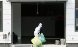 കൊവിഡ് പ്രതിരോധം; ആലപ്പുഴ ജില്ലയിലെ തദ്ദേശ സ്ഥാപനങ്ങളിലേക്ക് 780 സ്‌കൂള്‍ അധ്യാപകരെ നിയോഗിച്ചു