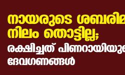 നായരുടെ ശബരിമല നിലം തൊട്ടില്ല; രക്ഷിച്ചത് പിണറായിയുടെ ദേവഗണങ്ങള്‍