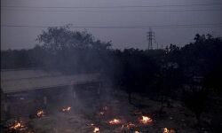 ആഗസ്റ്റ് ഒന്നിനകം രാജ്യത്തെ കൊവിഡ് മരണങ്ങള്‍ 1.02 ദശലക്ഷമാവുമെന്ന് യുഎസ് ഗവേഷണ ഏജന്‍സി