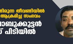 ഓടിക്കൊണ്ടിരുന്ന തീവണ്ടിയില് യുവതിയെ ആക്രമിച്ച സംഭവം: പ്രതി ബാബുക്കുട്ടന് പോലിസ് പിടിയില് ഓടിക്കൊണ്ടിരുന്ന തീവണ്ടിയില് യുവതിയെ ആക്രമിച്ച സംഭവം: പ്രതി ബാബുക്കുട്ടന് പോലിസ് പിടിയില്