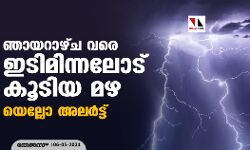 ഞായറാഴ്ച വരെ ഇടിമിന്നലോട് കൂടിയ മഴ; മലപ്പുറം ജില്ലയില്‍ യെല്ലോ അലര്‍ട്ട്