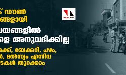 പുതിയ ലോക് ഡൗണ്‍ മാര്‍ഗനിര്‍ദ്ദേശങ്ങളായി: ആരാധനാലയങ്ങളില്‍ വിശ്വാസികളെ അനുവദിക്കില്ല;  റേഷന്‍, പലചരക്ക്, ബേക്കറി,പഴം, പച്ചക്കറി, പാല്‍, മല്‍സ്യം എന്നിവ വില്‍ക്കുന്ന കടകള്‍ തുറക്കാം