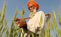 കേന്ദ്ര സർക്കാരിന്റെ അവഗണയ്ക്കിടയിലും രാജ്യത്തിനു നേട്ടമുണ്ടാക്കി കർഷകർ കേന്ദ്ര സർക്കാരിന്റെ അവഗണയ്ക്കിടയിലും രാജ്യത്തിനു നേട്ടമുണ്ടാക്കി കർഷകർ