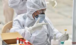 ലോക്ക് ഡൗണ്‍ ദിവസങ്ങളില്‍ കൊല്ലം ജില്ലയിലെ പ്രഥമികാരോഗ്യ കേന്ദ്രങ്ങളില്‍ സാംപിള്‍ പരിശോധനയ്ക്ക് പ്രത്യേക ടീം