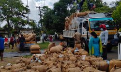 ആലപ്പുഴ: കെട്ടിക്കിടക്കുന്ന നെല്ല് നാലു ദിവസത്തിനുള്ളില്‍ സംഭരിക്കാന്‍ നടപടി; ഉദ്യോഗസ്ഥര്‍ക്ക് ചുമതല