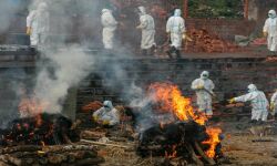 നേപ്പാളില്‍ കൊവിഡ് രോഗികളുടെ എണ്ണത്തില്‍ 1200 ശതമാനത്തിന്റെ വര്‍ധന