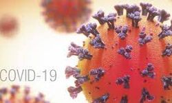 เดเดฑเดฃเดพเดเตเดณเด เดเดฟเดฒเตเดฒเดฏเดฟเดฒเตโ เดเดจเตเดจเต 4767 เดชเตเดฐเตโเดเตเดเต เดเตเดตเดฟเดกเต เดเดฑเดฃเดพเดเตเดณเด เดเดฟเดฒเตเดฒเดฏเดฟเดฒเตโ เดเดจเตเดจเต 4767 เดชเตเดฐเตโเดเตเดเต เดเตเดตเดฟเดกเต