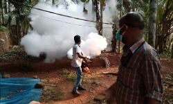 മണിയൂരിൽ കൊവിഡ് വ്യാപനത്തിനിടയിൽ ഡെങ്കിപ്പനിയും; പ്രതിരോധ പ്രവർത്തനം ഊർജ്ജിതമാക്കി