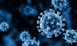 കൊവിഡ്: ആലപ്പുഴ ജില്ലയില് ഗ്രാമപഞ്ചായത്തുകളിലും നഗരസഭകളിലും 24 മണിക്കൂറും പ്രവര്ത്തിക്കുന്ന സഹായ കേന്ദ്രങ്ങള് കൊവിഡ്: ആലപ്പുഴ ജില്ലയില് ഗ്രാമപഞ്ചായത്തുകളിലും നഗരസഭകളിലും 24 മണിക്കൂറും പ്രവര്ത്തിക്കുന്ന സഹായ കേന്ദ്രങ്ങള്