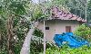 മരം വീണു വീട് തകര്‍ന്നു; വീട്ടമ്മ അല്‍ഭുതകരമായി രക്ഷപ്പെട്ടു