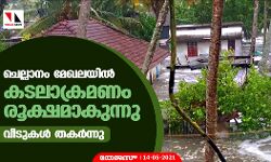 ചെല്ലാനം മേഖലയില്‍ കടലാക്രമണം രൂക്ഷമാകുന്നു;വീടുകള്‍ തകര്‍ന്നു