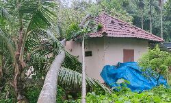 മരം വീണു വീട് തകര്ന്നു; വീട്ടമ്മ അല്ഭുതകരമായി രക്ഷപ്പെട്ടു മരം വീണു വീട് തകര്ന്നു; വീട്ടമ്മ അല്ഭുതകരമായി രക്ഷപ്പെട്ടു