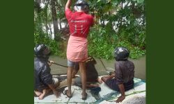 കടല്ക്ഷോഭം: അധികൃതര് ഉണര്ന്ന് പ്രവര്ത്തിക്കണമെന്ന് പോപുലര് ഫ്രണ്ട് കടല്ക്ഷോഭം: അധികൃതര് ഉണര്ന്ന് പ്രവര്ത്തിക്കണമെന്ന് പോപുലര് ഫ്രണ്ട്