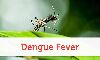 ദേശീയ ഡെങ്കിപ്പനി വിരുദ്ധ ദിനാചരണം: സംസ്ഥാനത്ത് നാളെ ഡ്രൈ ഡേ