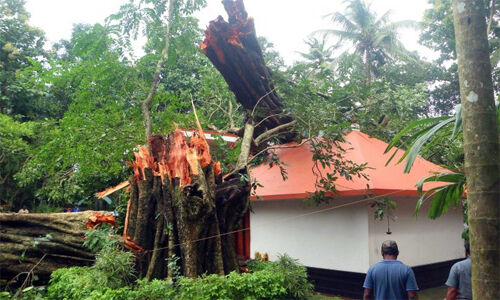 സംസ്ഥാനത്തെ ഒന്‍പത് ജില്ലകളില്‍ റെഡ് അലര്‍ട്ട്; ചുഴലിക്കാറ്റിനും സാധ്യത